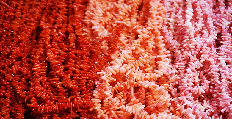 Vários fios de galhos de corais naturais.