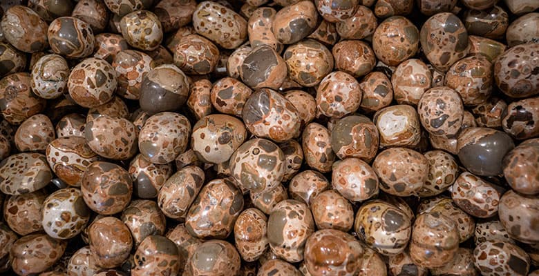 Várias pedras de jaspe leonardo